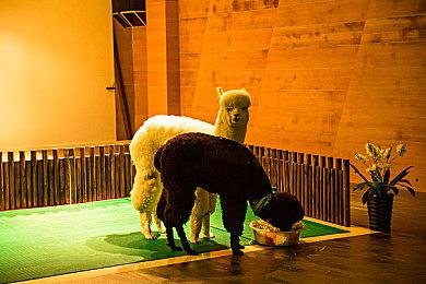 北濑佳范暗示《最终幻想7：重生》可能会有幸福结局